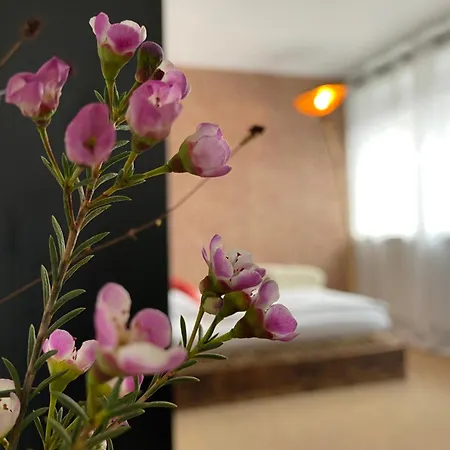 Privartzimmer 'ausfahrt Freihalten' * Husum (Schleswig-Holstein)