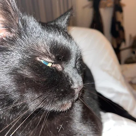 Privartzimmer 'ausfahrt Freihalten' Ubytování v soukromí *