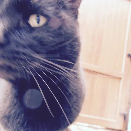 ホームステイ Privartzimmer 'ausfahrt Freihalten' フースム