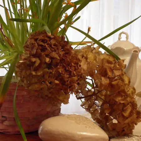 Privartzimmer 'ausfahrt Freihalten' ホームステイ *